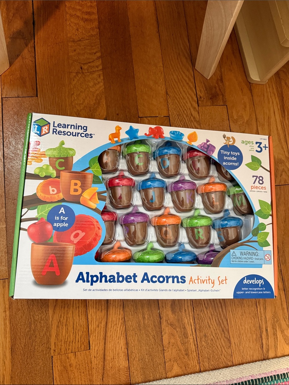 Alphabet Acorns Activity Set - Multicolor